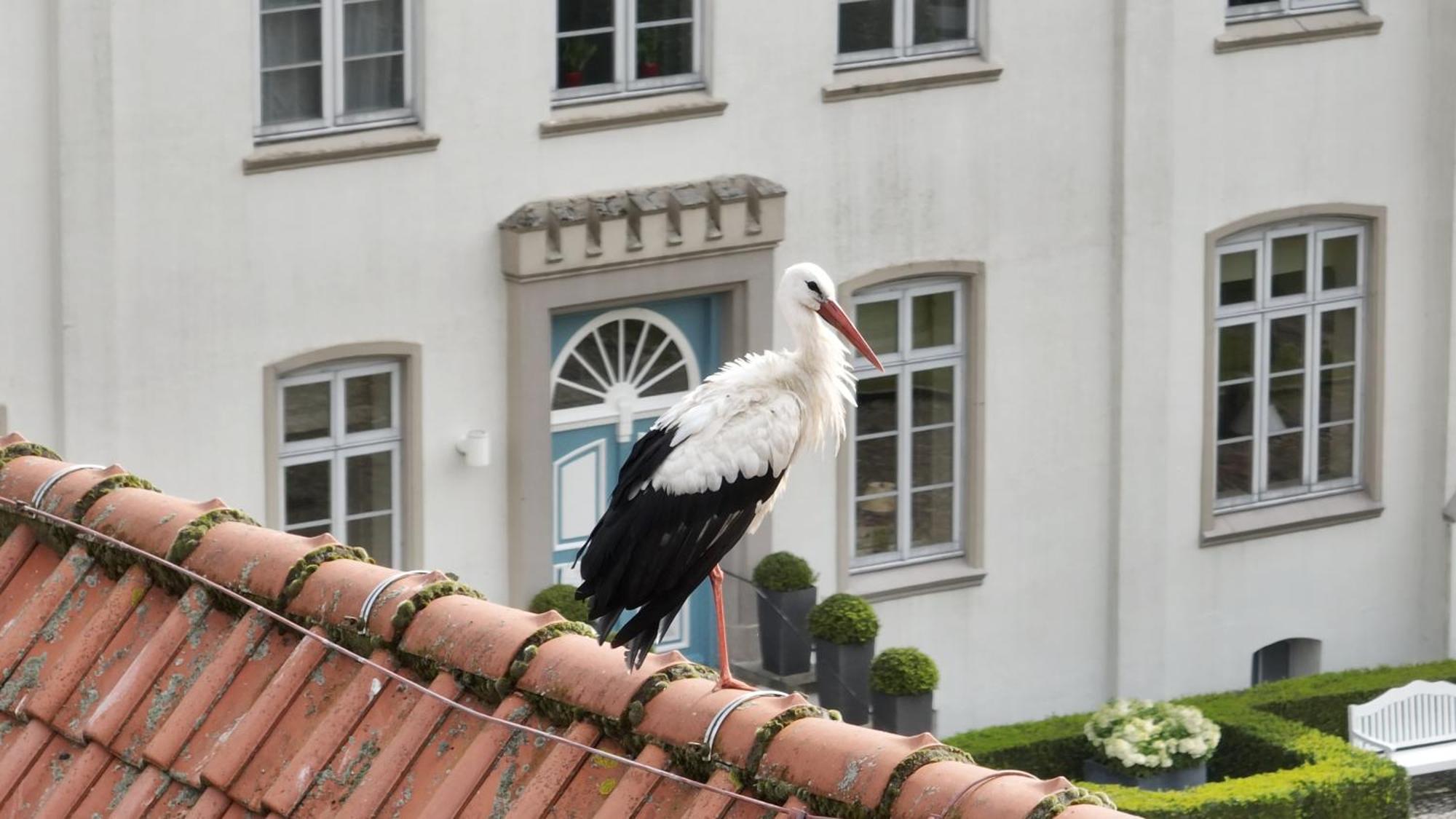 Hotel&Gästehaus Gut Kaden Alveslohe Exterior foto